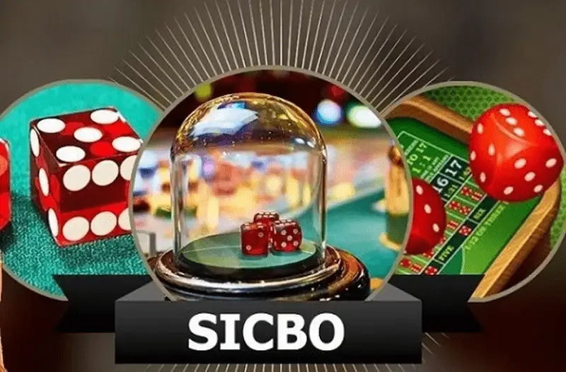 Tìm Hiểu cách chơi Sicbo 8xbet